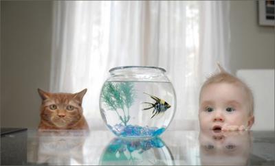 Прикрепленное изображение: y_6cb9aa95.jpg